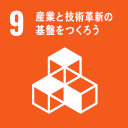 SDG 09